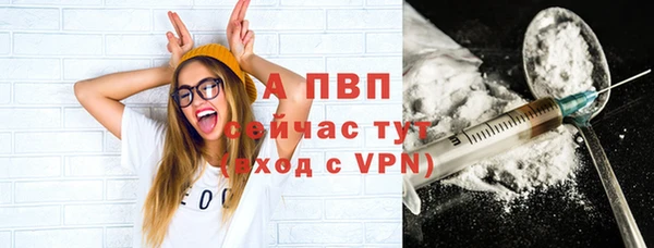 индика Приозерск