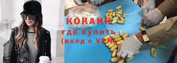 индика Приозерск