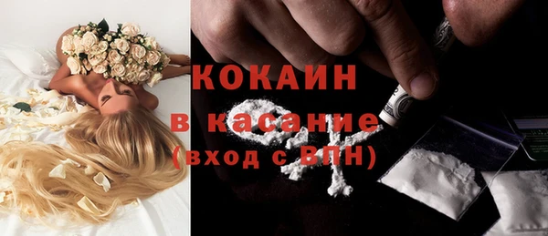 ПСИЛОЦИБИНОВЫЕ ГРИБЫ Покров