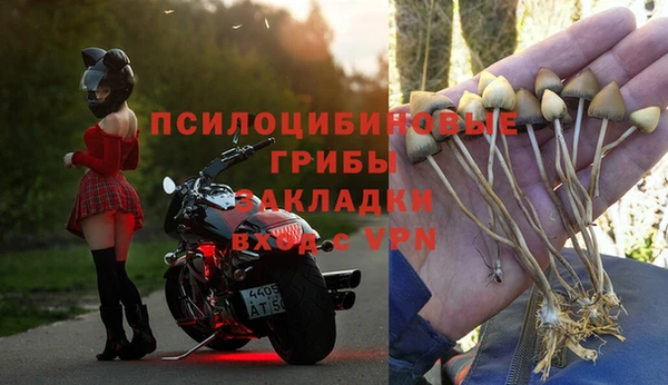 дживик Пролетарск