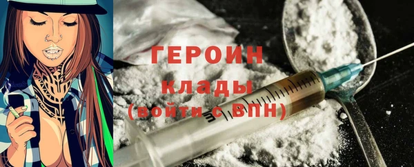 индика Приозерск