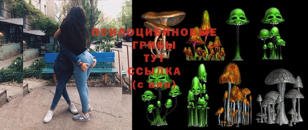 мяу мяу мука Покачи