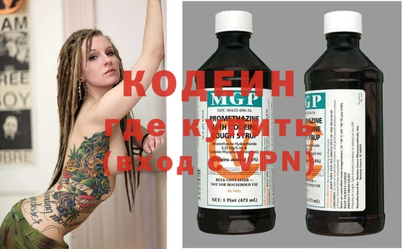 индика Приозерск