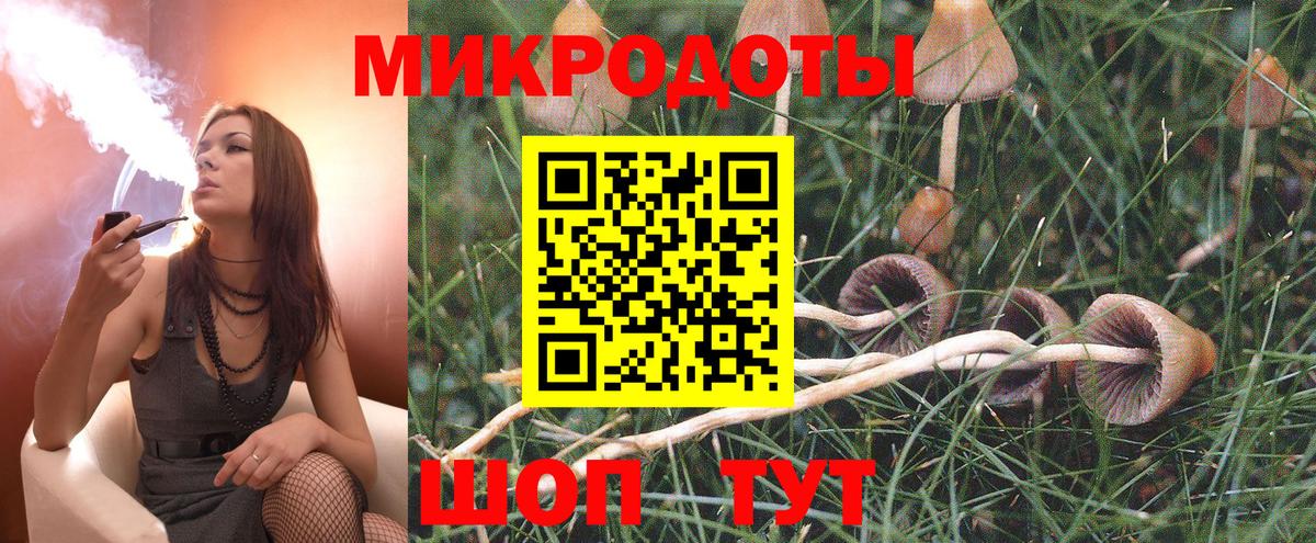 Псилоцибиновые грибы Psilocybe Красноуфимск