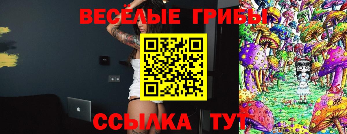 Псилоцибиновые грибы Cubensis  Псилоцибиновые грибы GOLDEN TEACHER  Красноуфимск  Вход с VPN 