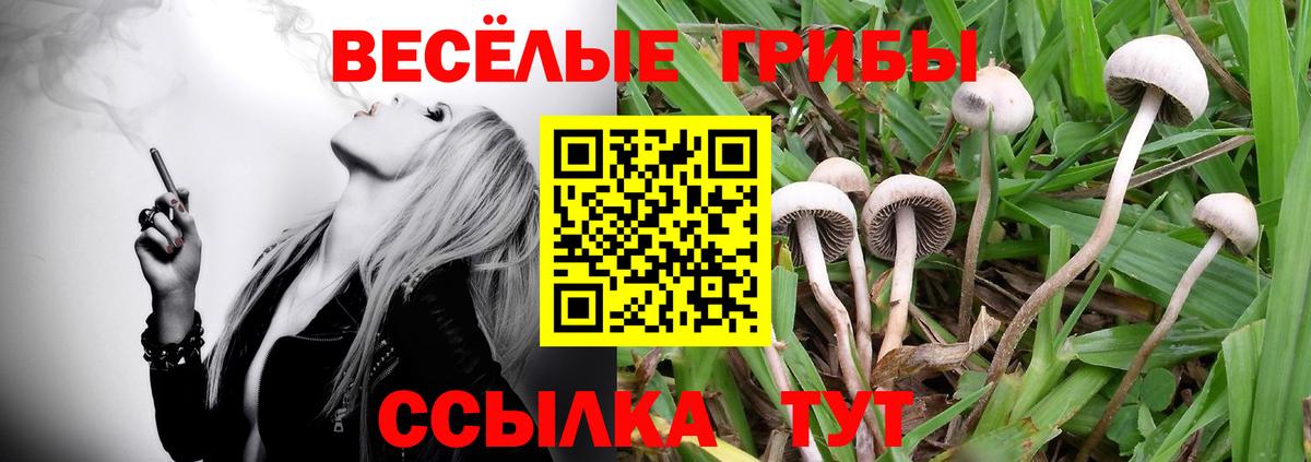 дарнет шоп  Красноуфимск  Галлюциногенные грибы GOLDEN TEACHER  Галлюциногенные грибы ЛСД 